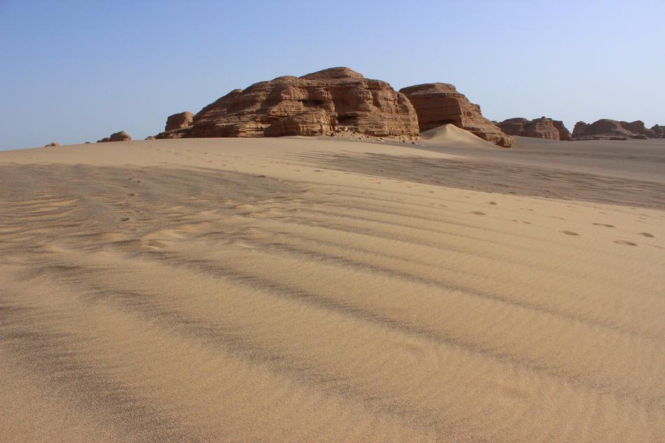 scenery on a sandy beach