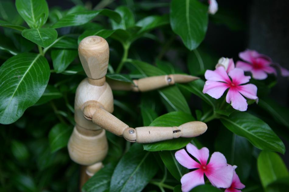 Changchun Flower Wooden Statue