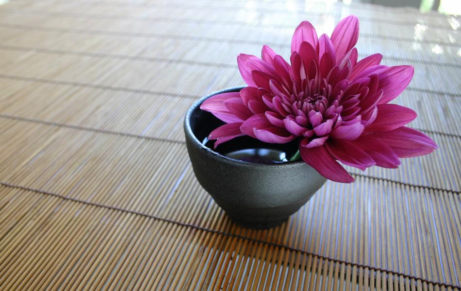 Chrysanthemum The Bamboo Curtain