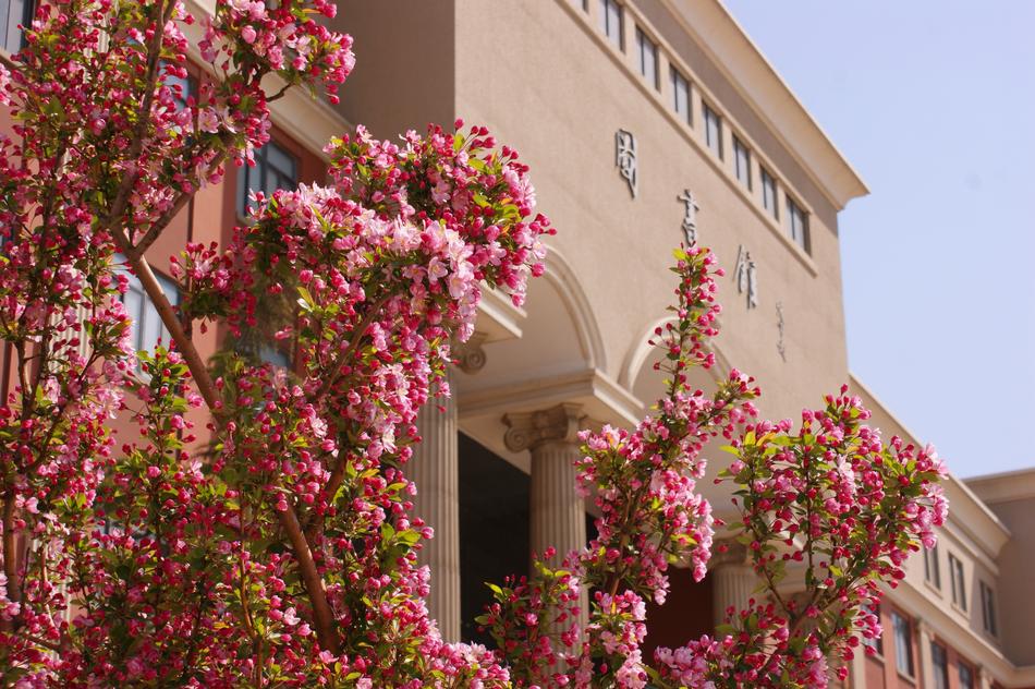Campus Spring Flower