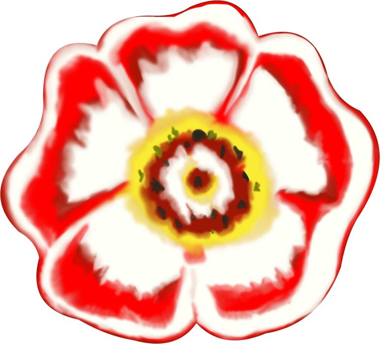 red and white sketch of poppy bud