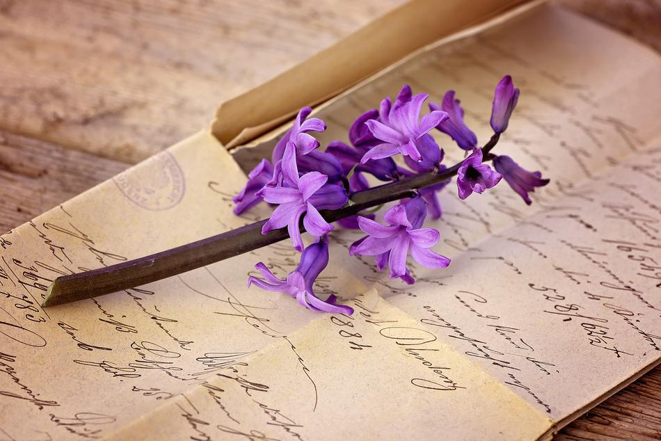 Old Letter Handwriting