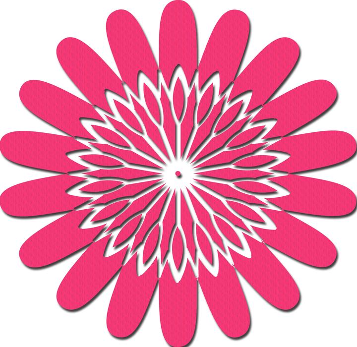 pink flower with shadow, drawing, mandala