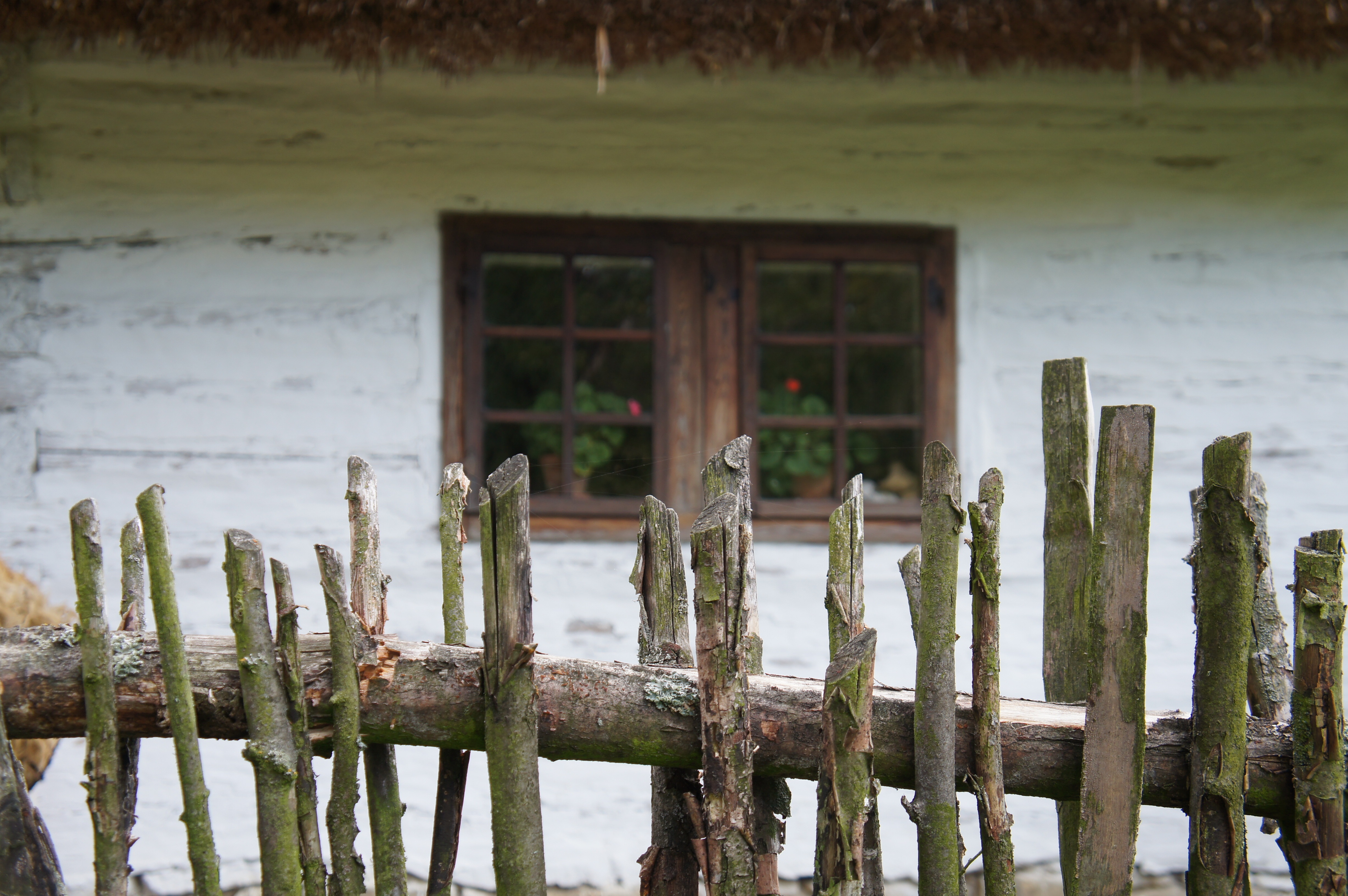 Wood village. Старый забор в деревне. Забор в русской деревне. Деревня с частоколом. Бабушкин забор.