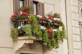 Balcony Window flowers Boxes