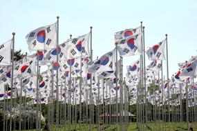 Korean flags in the field
