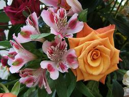Bouquet Flower Rose