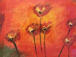 red poppy blossom blooms drawing