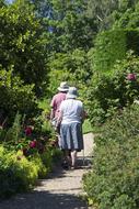 old women on a walk