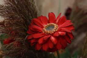 Flower Artificial Flowers Still