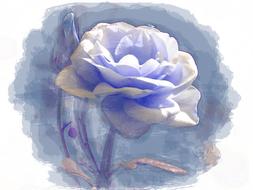 Blue Rose Digital