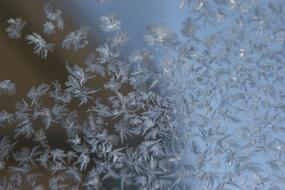 frozen snowflakes on glass
