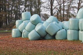 Packed straw bales on the farm