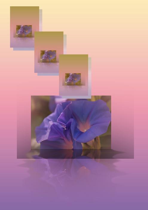 Beautiful and colorful assembly with flowers in shapes, at gradient background, clipart