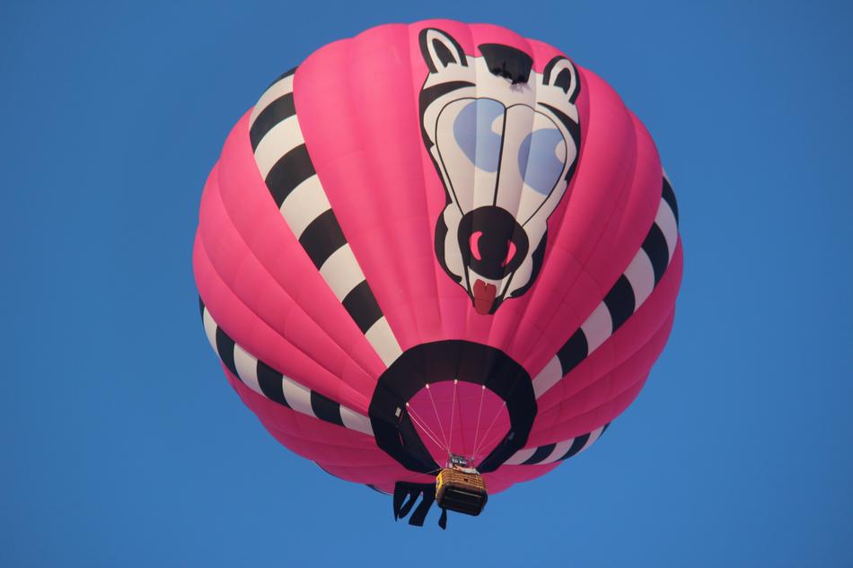 pink balloon with a zebra in the sky