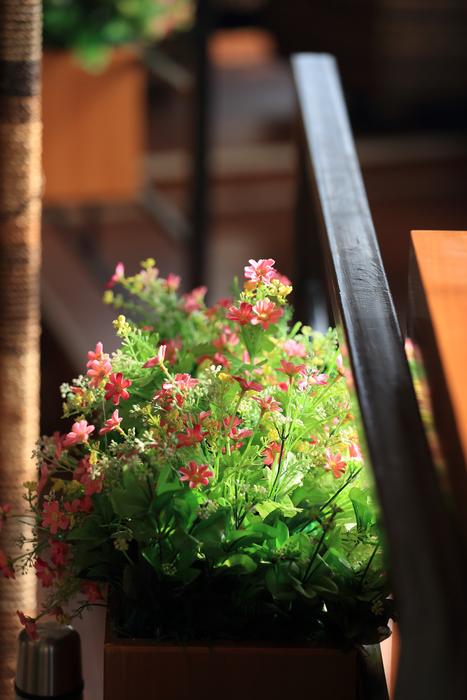 flowers for comfort
