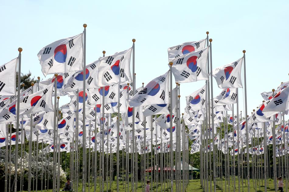 Korean flags in the field