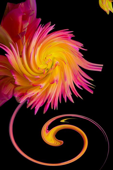 creative flower clipart