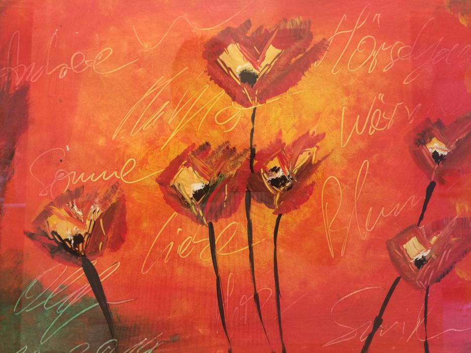 red poppy blossom blooms drawing