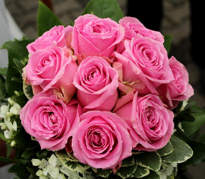 Roses Flowers