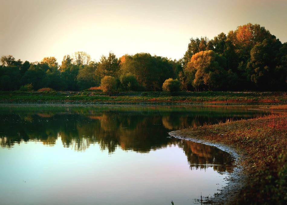 Autumn Water