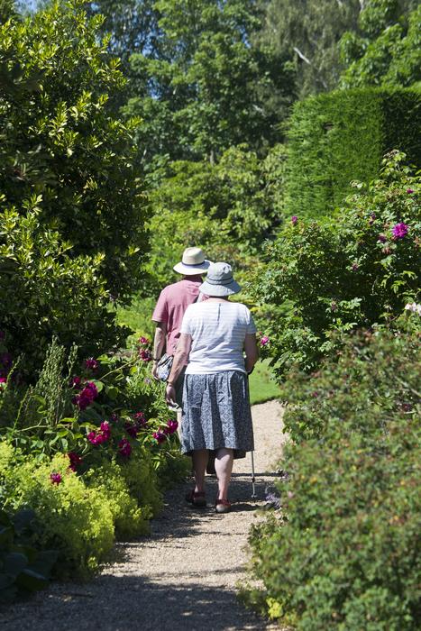 old women on a walk