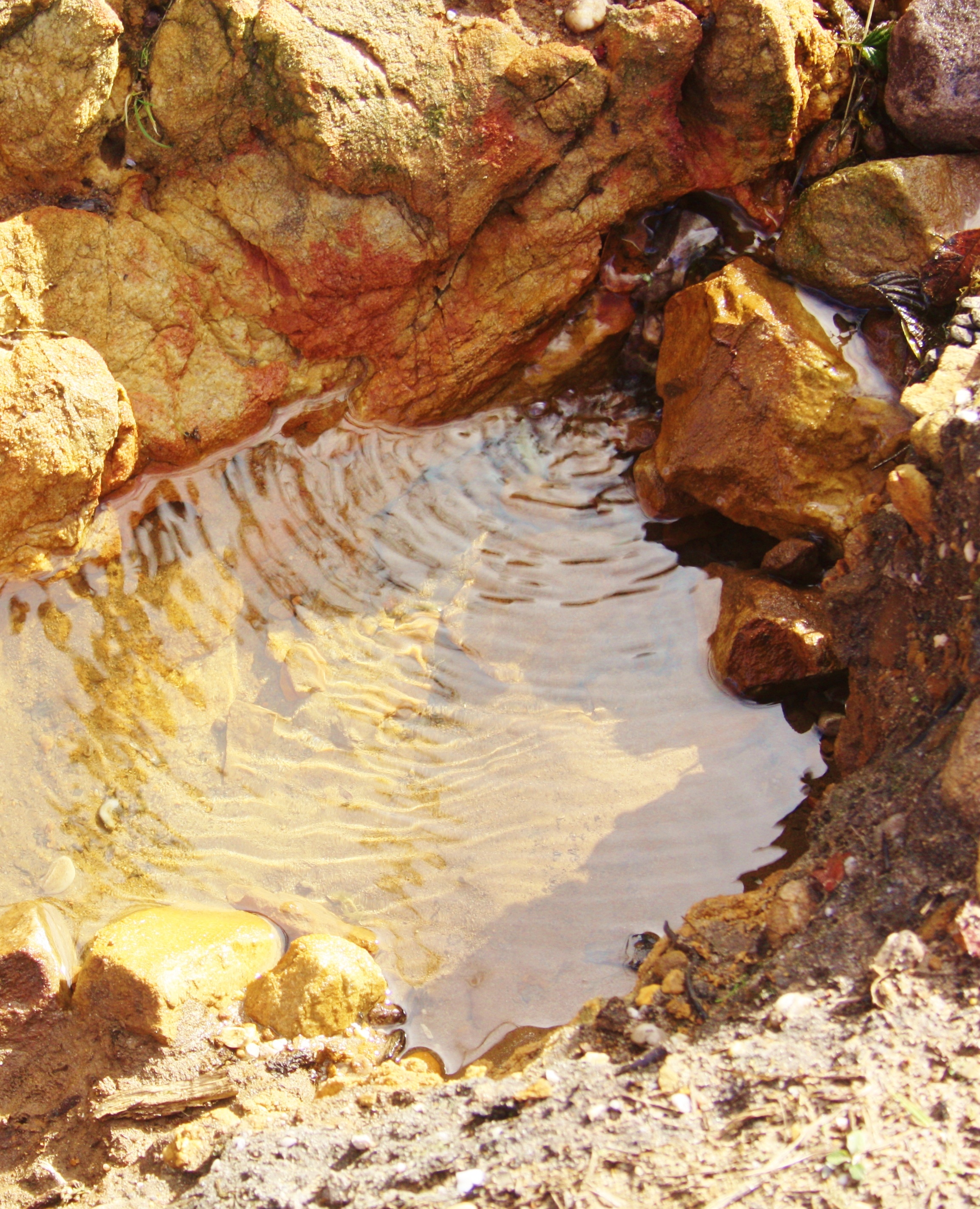 Stream Water Reflection free image download