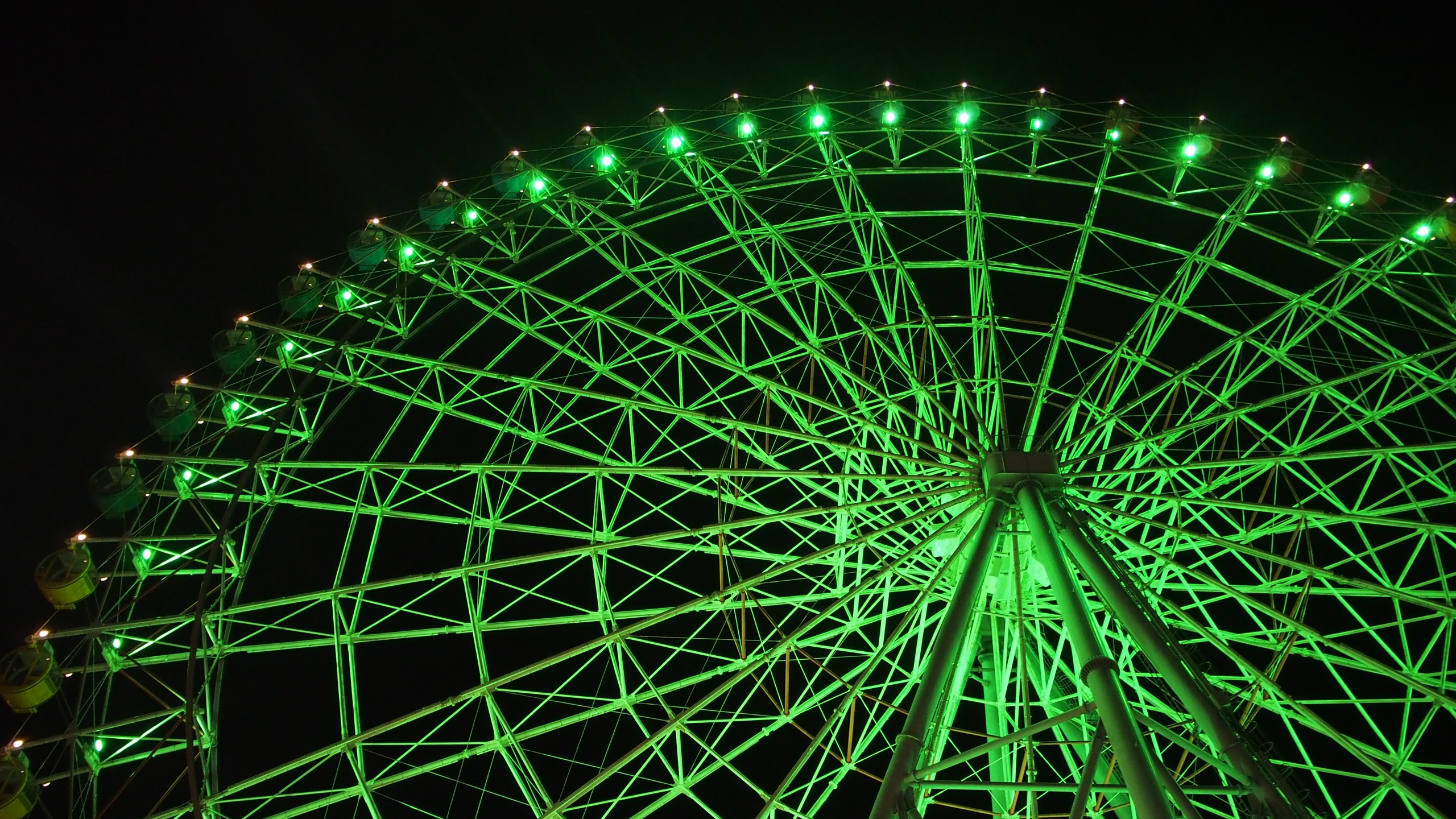 For Joy Ferris Wheel Green Night free image download