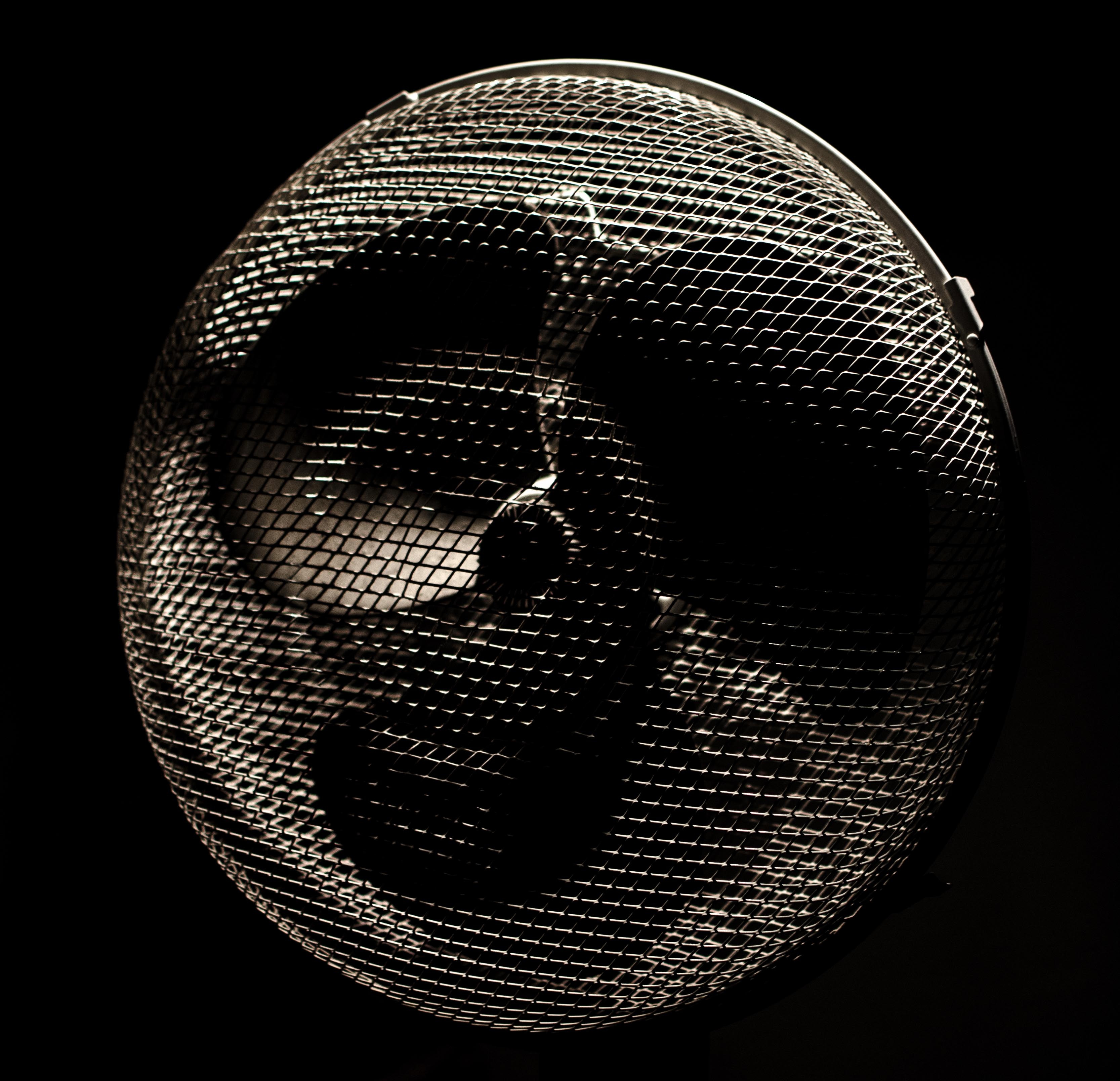 Fans black