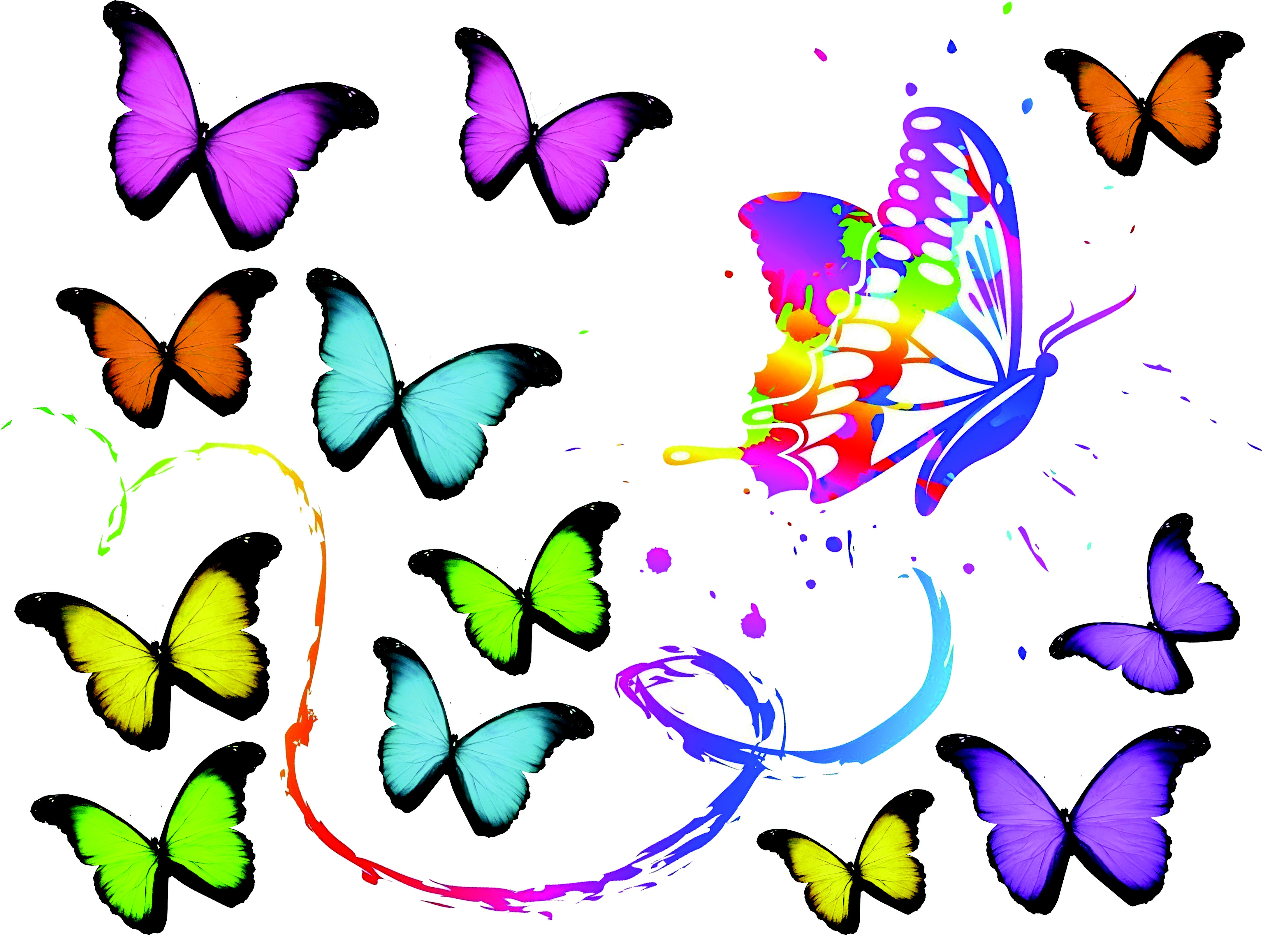 Бабочка нарисованная в Paint
