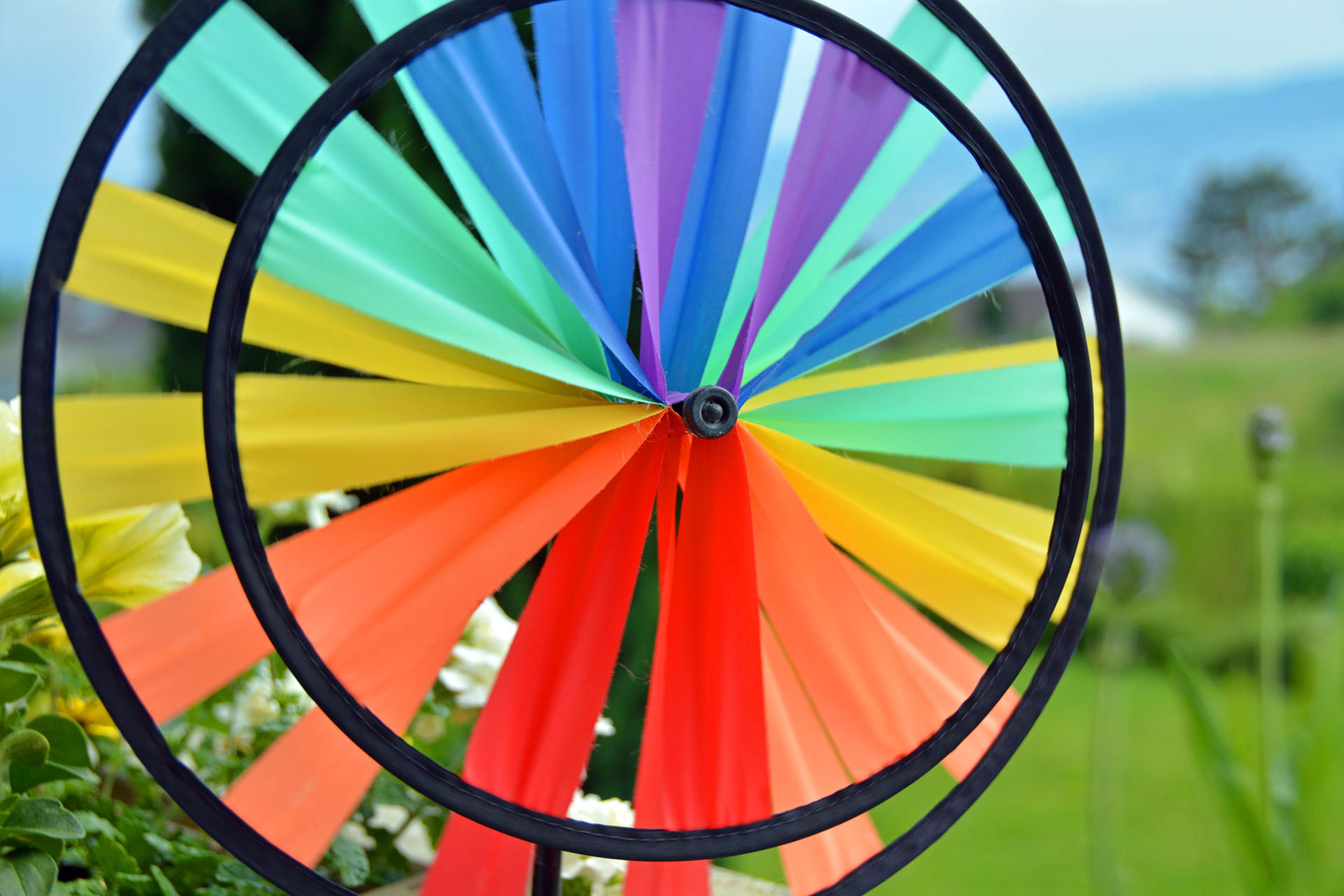 Colored ribbons on a circle free image download