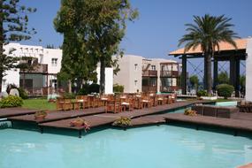 pool by palm trees