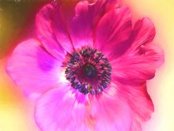 flower painting art painting flower
