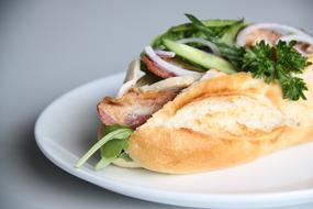 delicious meat and vegetable sandwich