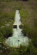 mini golf course in the grass