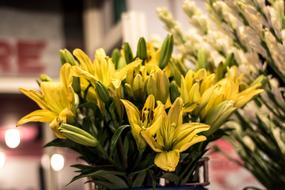 Yellow Lily Flowers decoration