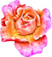 flower painting art creative