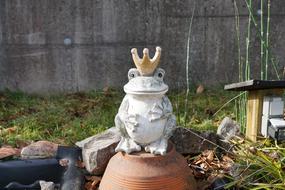 Beautiful figure of King Frog among the plants, near the wall