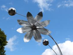silvery flower against the sky