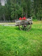 Flower Cart Floral Arrangements