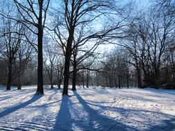 winter park in the sunshine