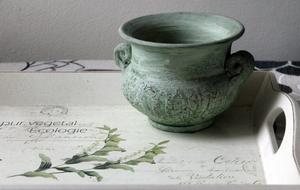 Beautiful, green, old pot on the tray with plants