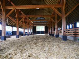sheep barn with dry grass
