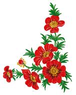 red flowers on a branch on white as an illustration