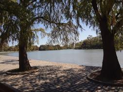 view of the lakes by the trees
