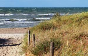 grassy field by the sea