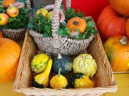 basket of fresh and ripe fruits and vegetables