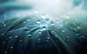 round drops of water on the grass