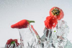 hot red peppers in water