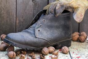 boot on broken nuts